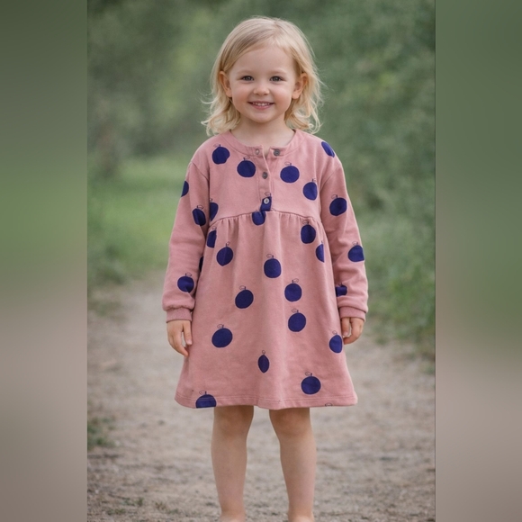 Zara Other - 🧸2/20$ Zara Pink Sweatshirt Dress Blue Apple Print Size 2-3T Baby Toddler Girl